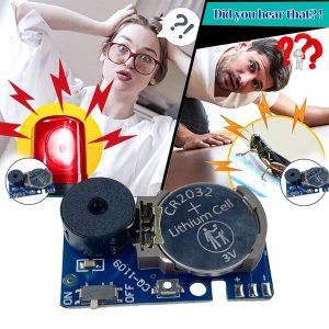 De krekelgrap die ze nooit zullen vinden | CRICKLY