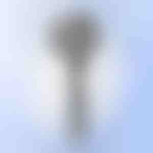 Multifunctionele massagedouchekop | SHOWERELAX