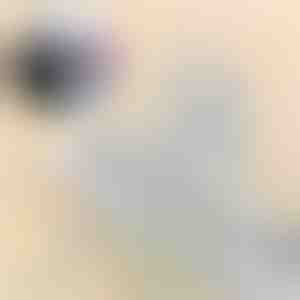 65W Snelle multi-poort reisoplader | SPEEDPOD