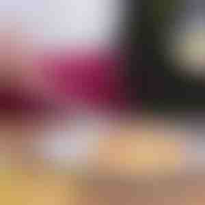 Roestvrijstalen barbecuetang | TONGPRO