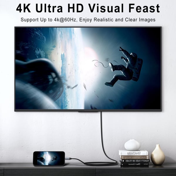 USBCX-3831127634737-EN-4__020226