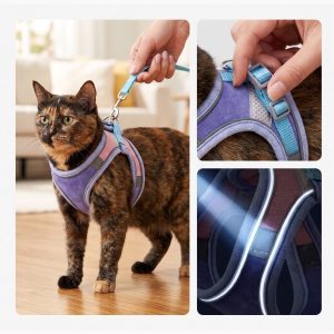 Verstelbaar kattenharnas van suède | CATLORA